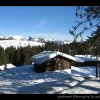20080120_347